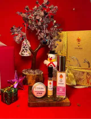 Skin Glow Kit | Party Essentials Parama Naturals  raksha bandhan gift for sister best rakhi gifts for sister rakhi gift hampers for her beauty gift box for raksha bandhan cosmetic gift sets for rakhi skincare gift for sister on rakhi personalized beauty gifts for raksha bandhan rakhi special face oil
festive glow skincare for raksha bandhan natural cosmetics for rakhi gift ayurvedic skincare rakhi gifts